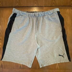 Puma Athletic Men's Shorts in Gray and Black